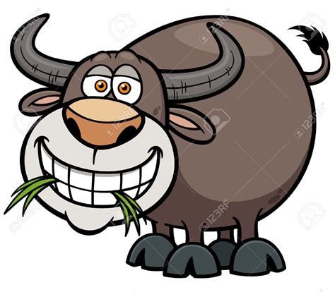 cartoon buffalo clipart 20 free cliparts download images on clipground 2023
