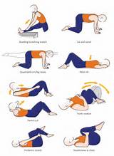 Exercises Lower Back Images