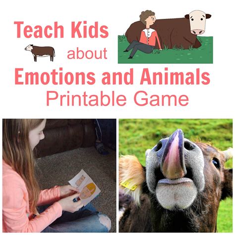 Teaching Kids about Emotions with Animals - Life with Moore Babies