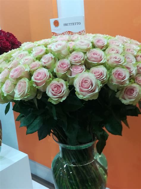 Whether it's graduation, holiday, or wedding flowers, you're guaranteed freshly cut and custom packed flowers by the bunch. Where to Buy Bulk Flowers Online for Your Wedding - #Roses ...
