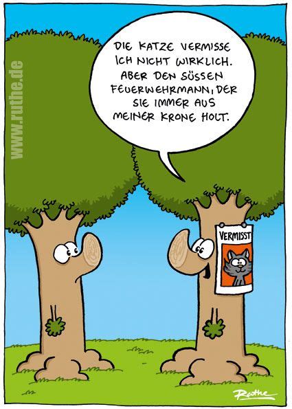 Mit einem erfolg beim comeback von trainer thomas schaaf können sich die norddeutschen noch vor dem abstieg ret. Ruthe.de | Archiv … (mit Bildern) | Ruthe de, Ruthe ...