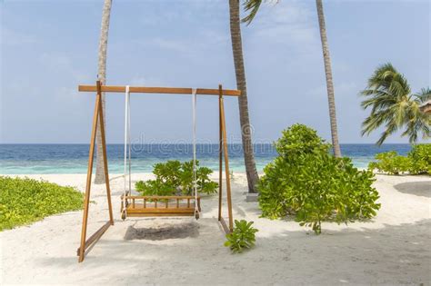 Swing At A Tropical Beach In The Maldives Stock Image Image Of