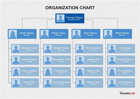 Hierarchy Organizational Chart Template Word Addictionary