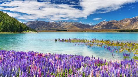 Les Plus Beaux Lacs De Nouvelle Zélande Destination Nouvelle Zélande