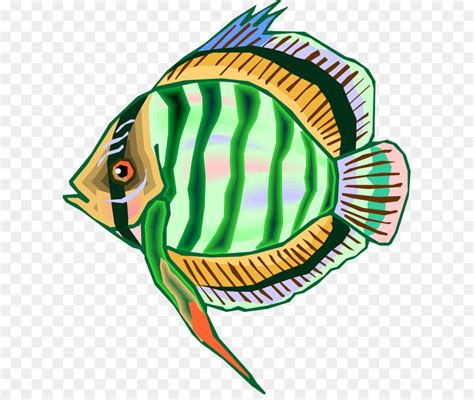 Jenis ikan bawal beberapa orang telah mengetahui bahwa ikan bawal merupakan ikan air tawar yang populasinya saat ini dapat dikonsumsi. Gambar Ikan Bawal Kartun, Kumpulan Gambar Kartun Ikan Di ...