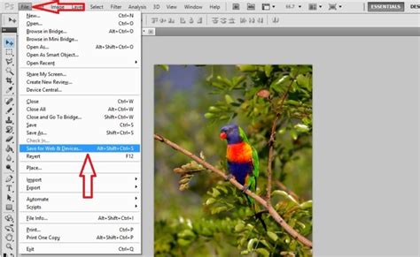 How To Reduce Image File Size In Photoshop Without Losing Quality Bnsofts