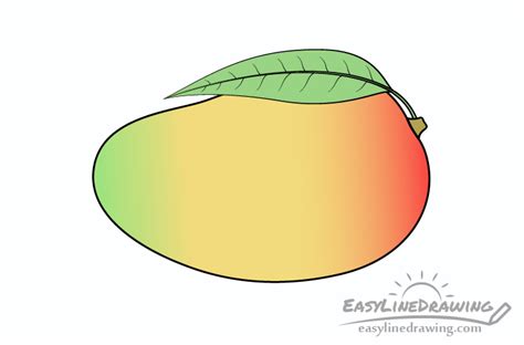 How To Draw A Mango Step By Step Easylinedrawing