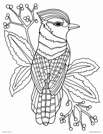 Coloring Pages Animals Fun Insects Printable Adults