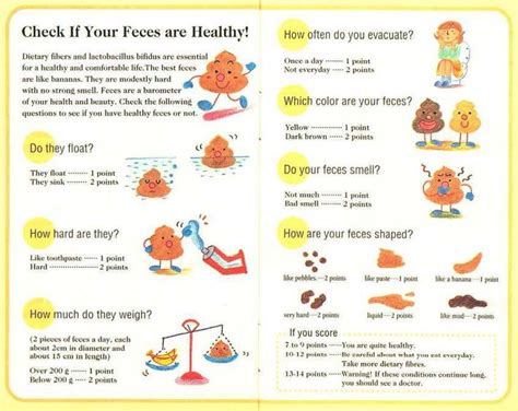 Colon Health Check Healthy Bowel Movement Stool Chart Bowel