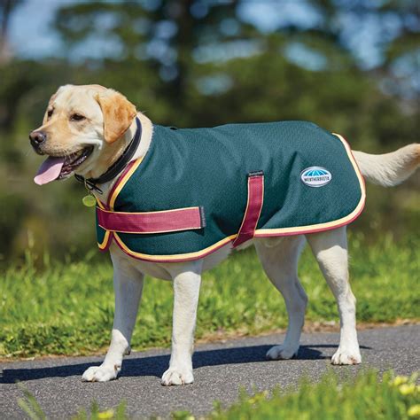 Waterproof Dog Coats View Our Range At Farm And Pet Place