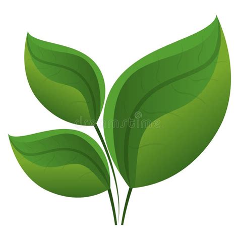 Icono Aislado Planta De La Hoja Ilustraci N Del Vector Ilustraci N De