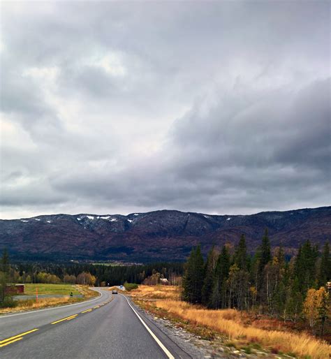Free Photo Gray Asphalt Road With Trees Under Cloudy Sky Adventure