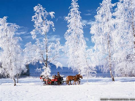 Free Download Winter Wallpaper Pixelstalk Winter Scenes For Desktop