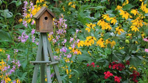 Naturescaping Gardening For Birds Bird Academy The Cornell Lab