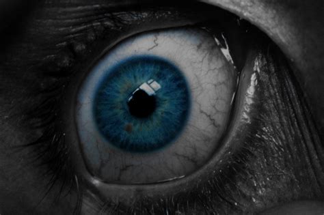Eye Free Stock Photo - Public Domain Pictures