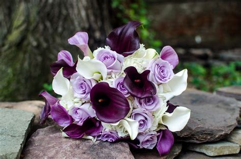 Thousands of tiny white flowers suspended like a mist on thin stems make baby's breath an attractive choice for floral arrangements.perfect for your wedding day, craft projects or just make your own beautiful display.increase more color and vitality to your life, make you have a good mood every day. Purple and White Bouquet With Calla Lilies and Roses