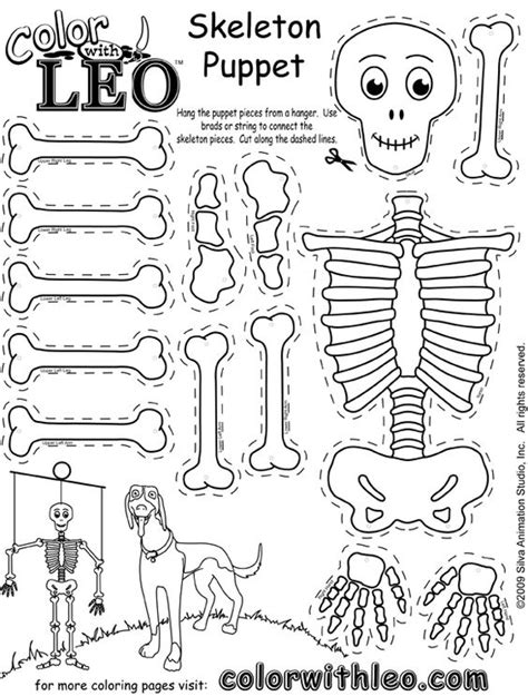 Printable Skeleton Worksheet Printable Blank World