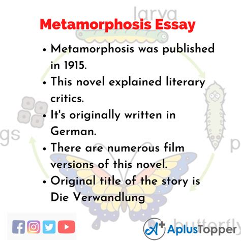 Metamorphosis Essay Essay On Metamorphosis For Students And Children