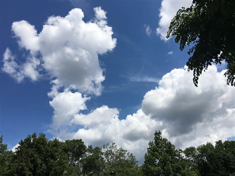 Images Gratuites Arbre La Nature Nuage Plante Ciel Lumière Du