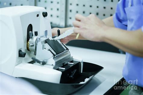 Cutting Tissue Section With Rotary Microtome Photograph By