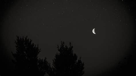 Moon reflection, night sky wallpaper. Download wallpaper 1920x1080 moon, night, sky, tree, stars ...
