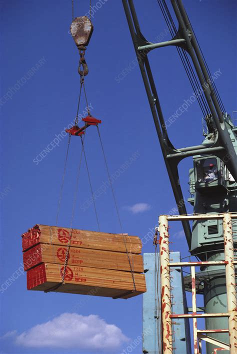 Cargo Of Lumber Being Unloaded Stock Image C0273622 Science