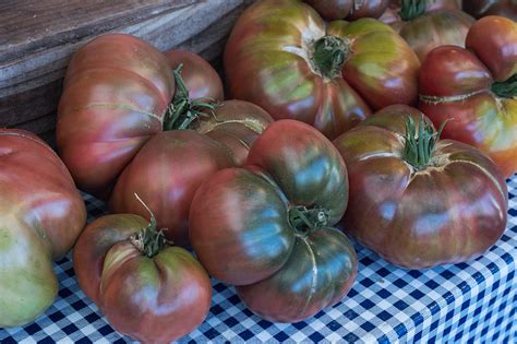 The more varied the colors of the tomatoes you choose, the prettier the salad will be. Expert Tips on Growing Heirloom Tomato Plants | Bonnie Plants