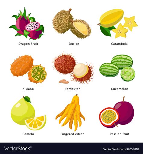 Exotic Fruits Icon Set Detailed Royalty Free Vector Image