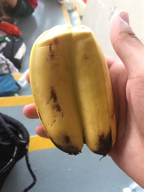 A Conjoined Banana Rmildlyinteresting