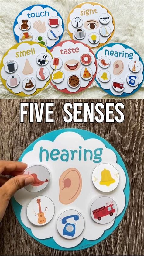 5 Senses Sorting Worksheet For Preschoolers