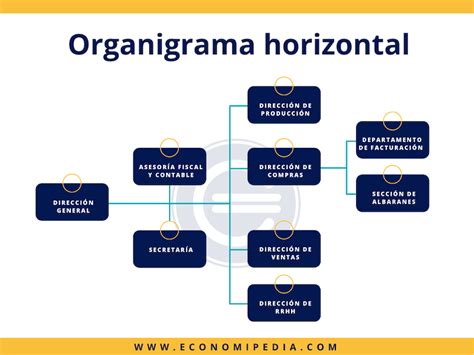 Organigrama Horizontal Qu Es Definici N Y Concepto