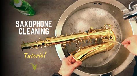 How To Clean Mold Out Of A Saxophone New Update