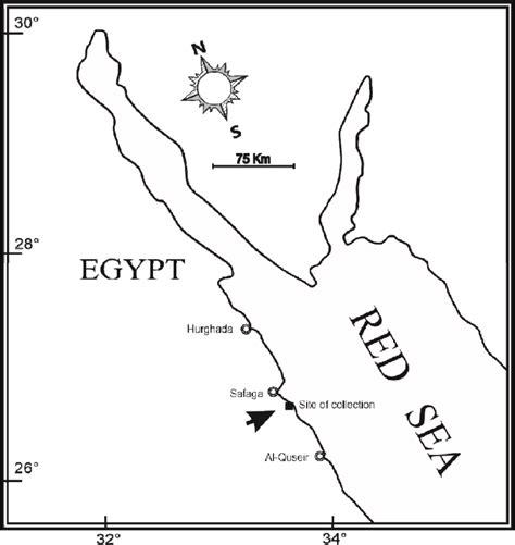 Map For The Egyptian Coastline Of The Red Sea Showing The Location Of
