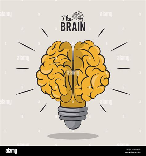 The Human Brain Light Bulb Vector Illustration Graphic Design Stock