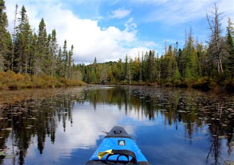 A Canoeists Introduction To Algonquin Provincial Park