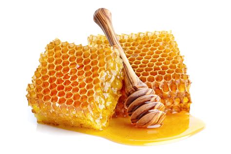 Honey Bee Honeycomb Sugar Honey Png Download 17781185 Free