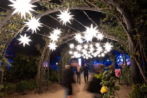 Photos Enchanted Forest Of Light Returns To Descanso Gardens For A