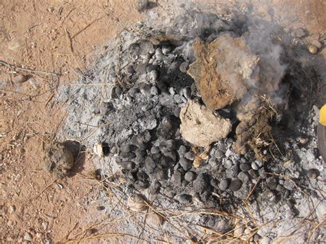 Camels provide everything in a desert environment. Experimental Bonfirings of Pottery with Camel Dung Fuel ...