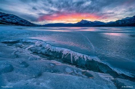 Travel Guide To Photographing Ice Bubbles In Abraham Lake