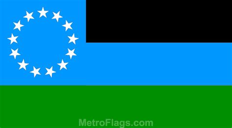 The World Government Flag The Largest Online