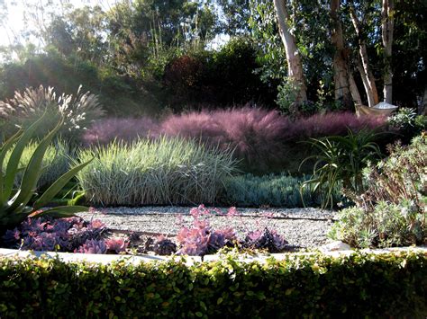 Pink Grasses 10 Ideas For Muhlenbergia In A Landscape Gardenista
