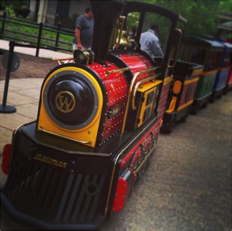 The Black Bear Express At Buttonwood Park Zoo All Aboard Black