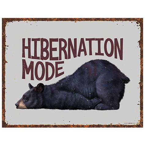 Hibernation Mode Na Tin Sign Earth Sun Moon Wholesale