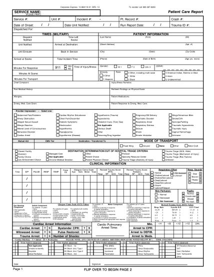 23 Patient Medical Chart Example Free To Edit Download And Print Cocodoc