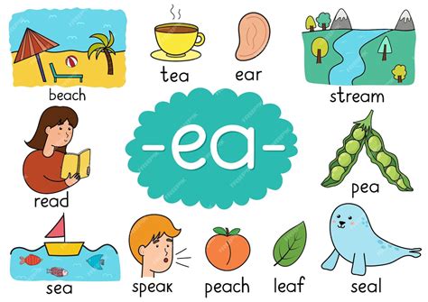 Premium Vector Ea Digraph Spelling Rule Educational Poster For Kids