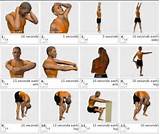 Pictures of Muscle Exercises Trapezius