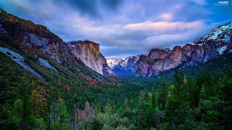 Yosemite National Park Mountains Fog Forest Viewes California The