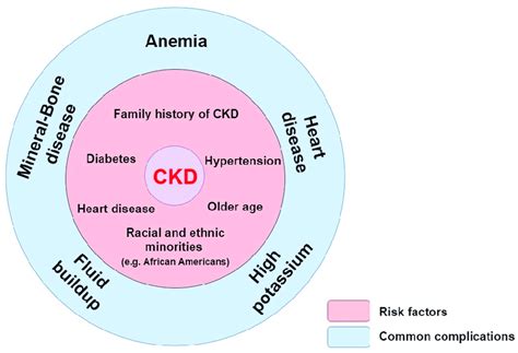 Risk Factors And Common Complications For Ckd In Pink Are Represented