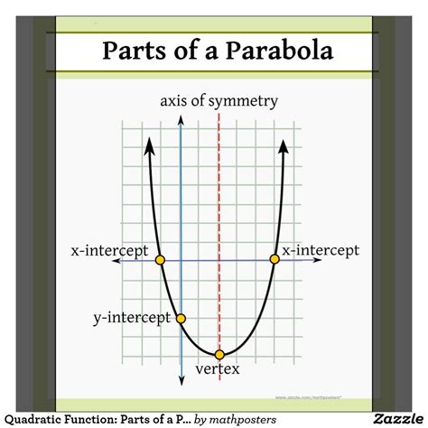 Quadratic Function Parts Of A Parabola Poster Zazzle Quadratic