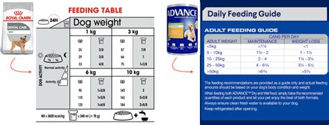 Pet Feeding Guide Pet Better With Pet Circle